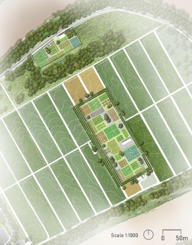 1:1000 plan of transect trial garden