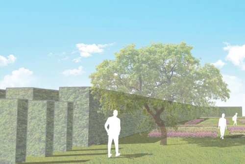 Perspective view of transect trial garden