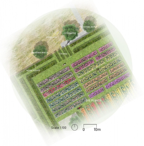 1:100 detailed plan of transect trial garden