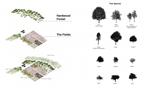 Tree Species 