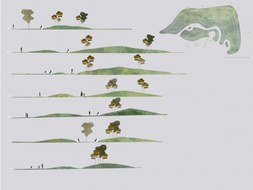 Sequential sections