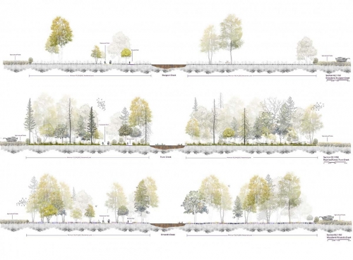 Sections of the three forest typologies (grassland, forest, woodland)