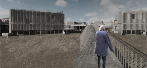 East meadow ramp to exterior plaza and halls. Below, the communal gathering spaces. To the sides, unit clusters reach out