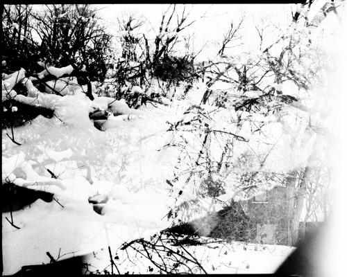 Photograph of existing building and view through bracken to the river.Built Twin-lens 4x5 Camera