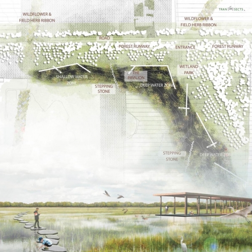 Wetland park (detail plan + overall perspective)