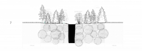 Section 7 through the flood forest