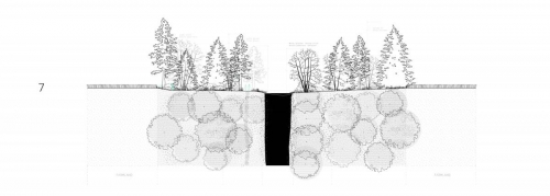 Section 7 through the flood forest