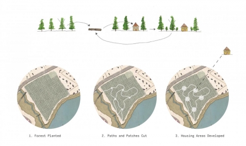 Spruce forests are used for recreation, harvesting lumber and eventually housing development.