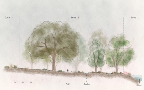 A section drawing of the restored riparian forests, with swales for water storage and purification.