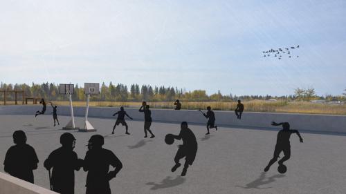 Sport court rendering with existing prairie grassland