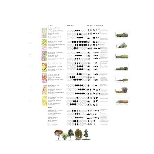 Plant chart