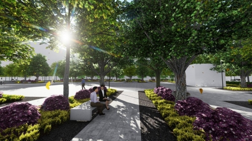 Perspective of an intimate seating space under the tree canopy